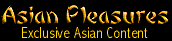 The Asian Megasite - - this site contains anime, Asian bondage, various Asian feeds and the GEISHA House - a big hit for the "Asian girl" lover. 